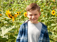 2021.08.27 Sunflowers